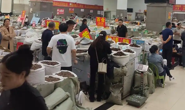 2025��10����ҩ���г�չ�������������ҵ�ع��������ż۸�ּ����γɣ�