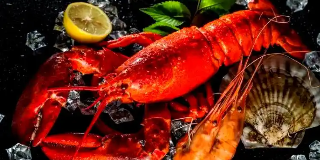 ��������ٽ����꣬Ƥ����������ʳ����ָ��